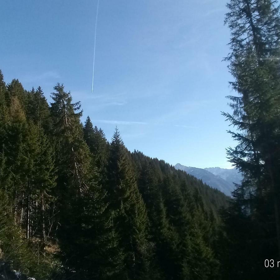 Apartamento Da Nicola E Laura Santo Stefano Di Cadore Exterior foto
